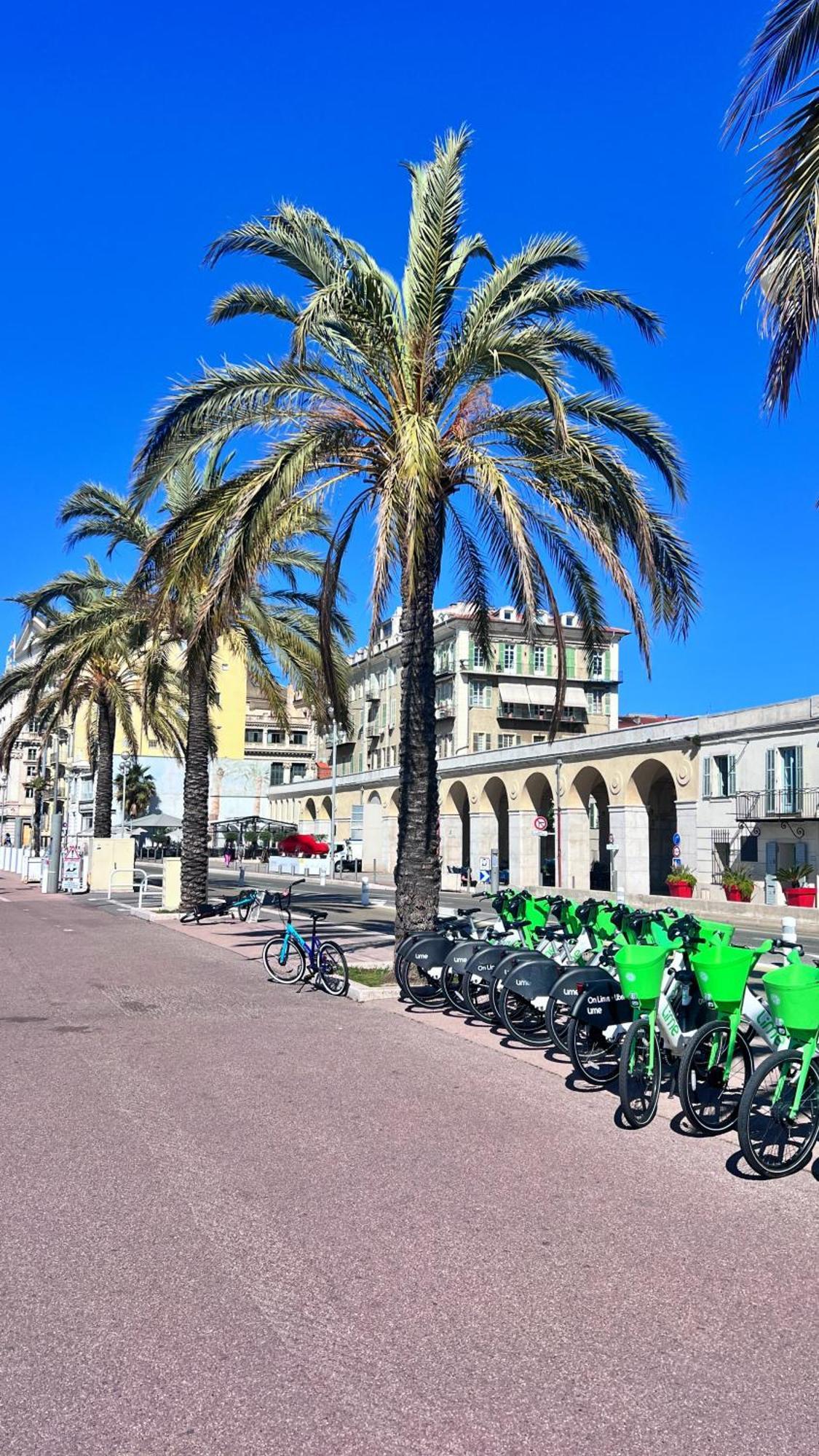 Apartmán L'Azur Plaisance Nice Exteriér fotografie